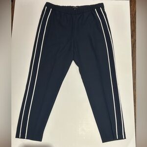 Banana Republic Hayden Cropped Tuxedo Pants